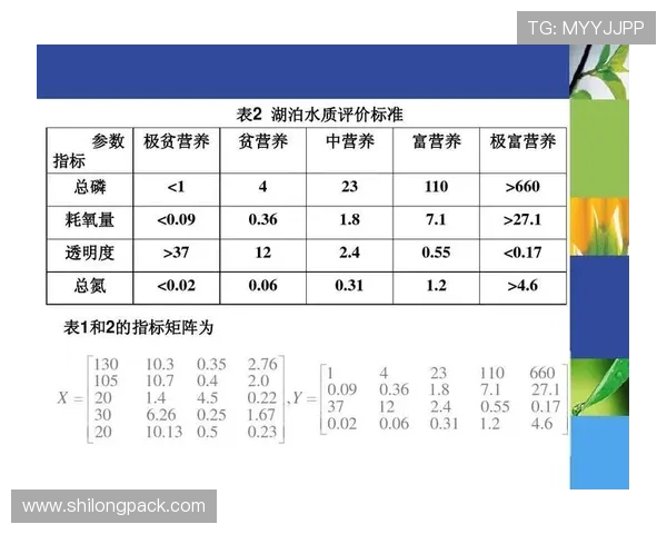 南京足球队在杯赛中的技术表现分析与点评探讨 南京足球队在杯赛中的技术表现分析与点评探讨