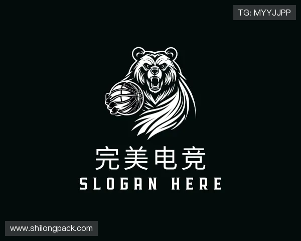 关于完美电竞