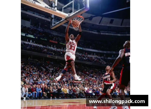 乐虎NBA：探讨球队战术和球员表现的终极指南